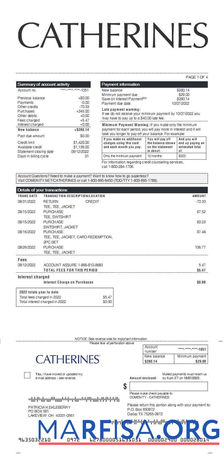Printable Catherines earnings statement download for verification